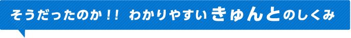 そうだったのか！！ わかりやすいきゅんとのしくみ