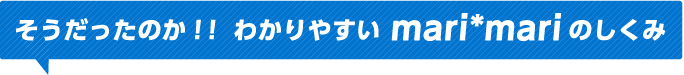 そうだったのか！！わかりやすいmari*mariのしくみ
