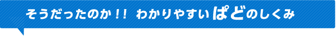 そうだったのか！！わかりやすいぱどのしくみ