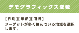 デモグラフィックス変数