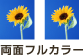 両面フルカラー