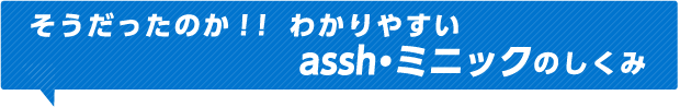 そうだったのか！！わかりやすいassh・ミニックのしくみ