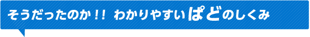 そうだったのか！！わかりやすいぱどのしくみ