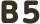 B5