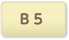 B5