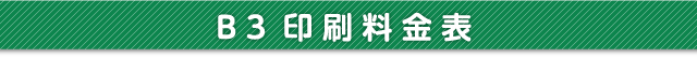 B3印刷料金表